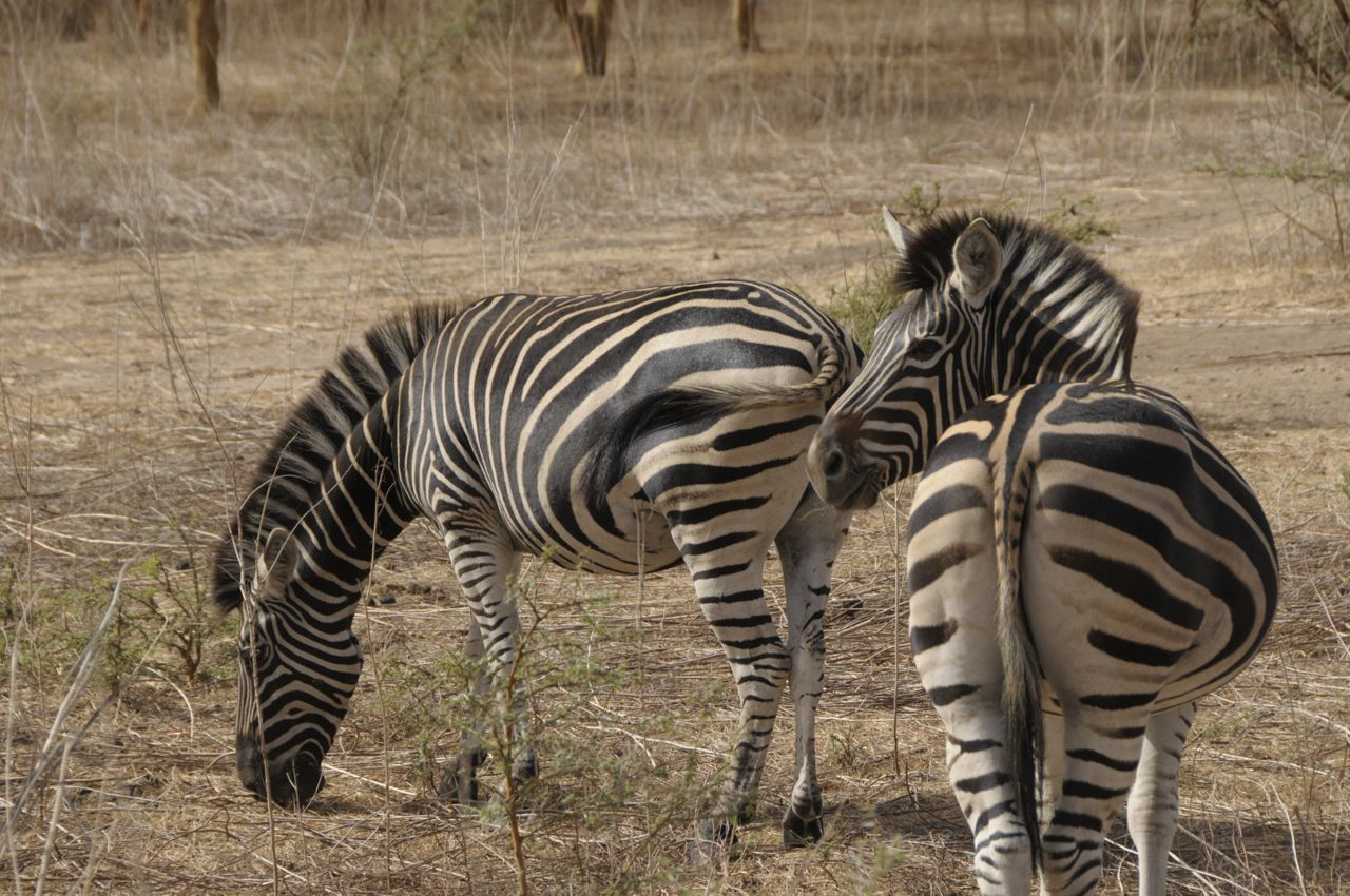 Top 10 des meilleures excursions