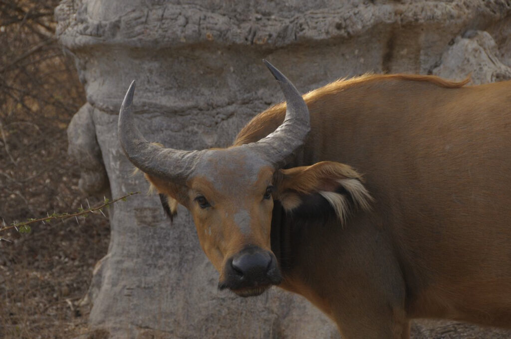 Top 10 des meilleures excursions