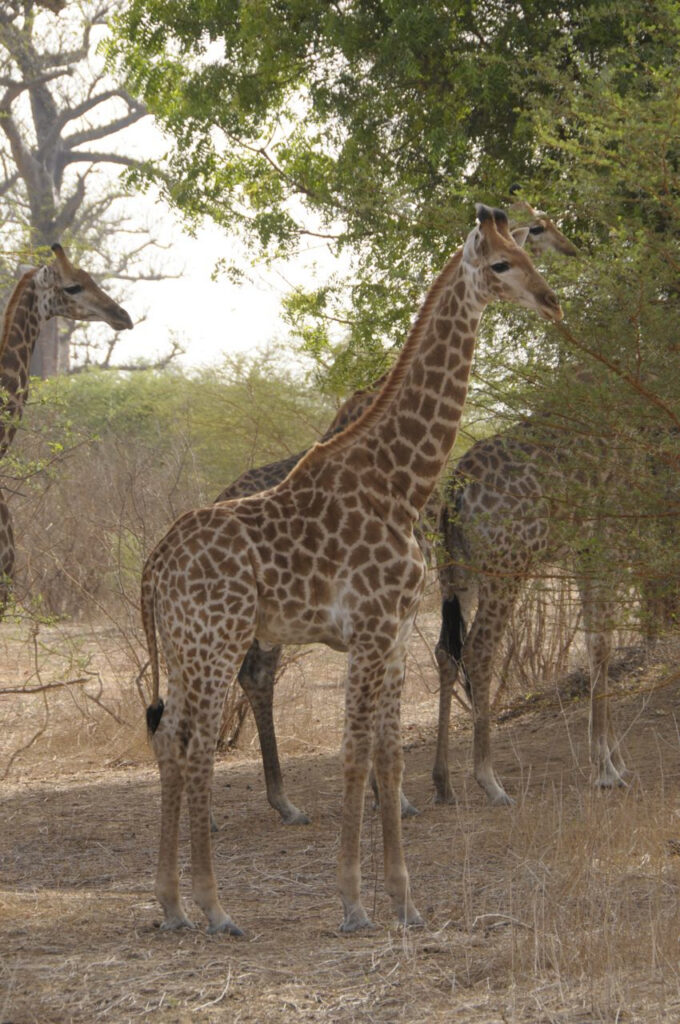 Top 10 des meilleures excursions